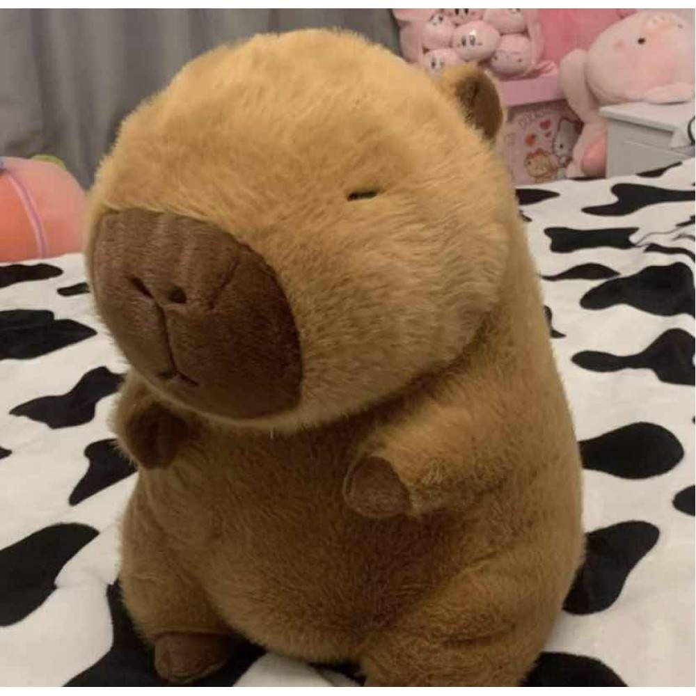 22cm small capybara