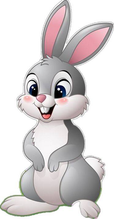 Κούπα Rabbit