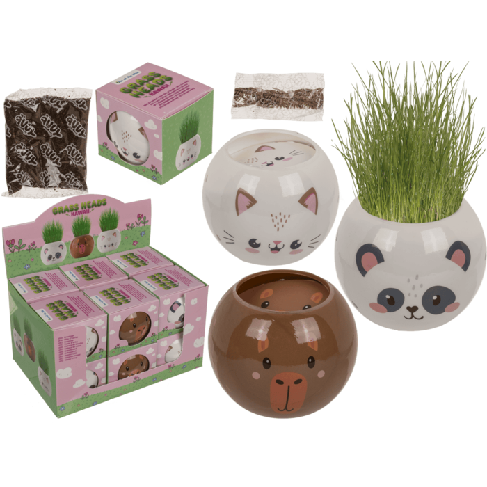 Kawaii, 6,5 cm, πλαστική γλάστρα με σπόρους, 12/display